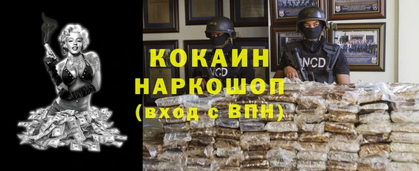 гашик Пестово
