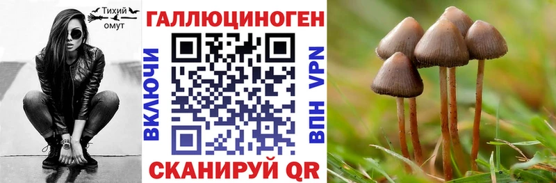 Псилоцибиновые грибы прущие грибы Кингисепп