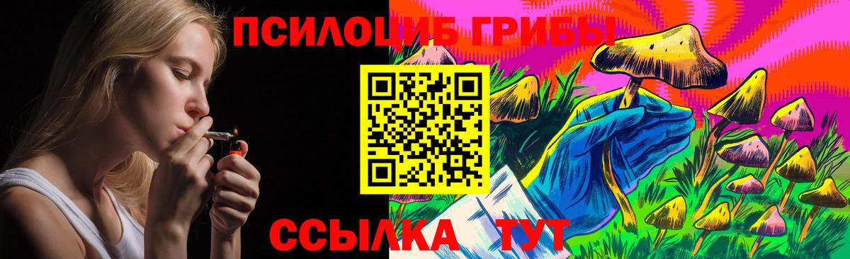 Псилоцибиновые грибы MAGIC MUSHROOMS  Вход с VPN  Галлюциногенные грибы Psilocybe  Кингисепп 