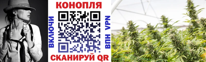 МАРИХУАНА Ganja купить закладку площадка клад Кингисепп ссылка на мегу ONION